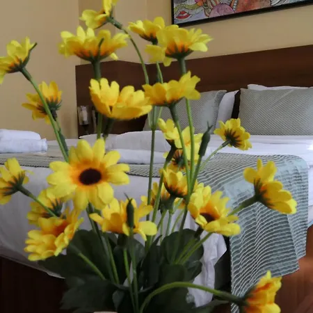 Hotel Taksim Stella Istanboel